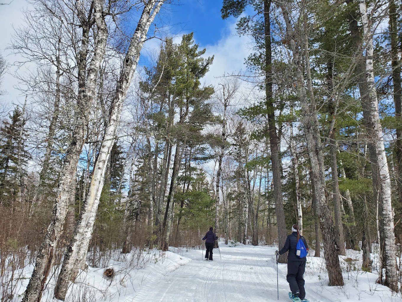 Bear Head Lake State Park
